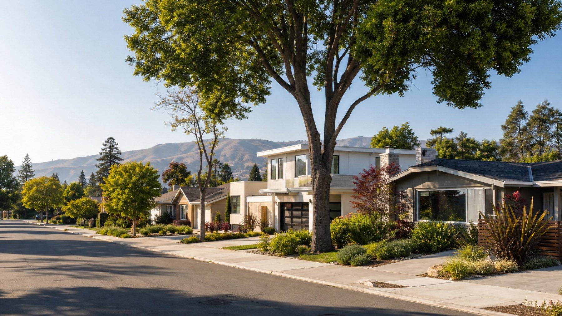 Tree-lined residential neighborhood in California's South Bay